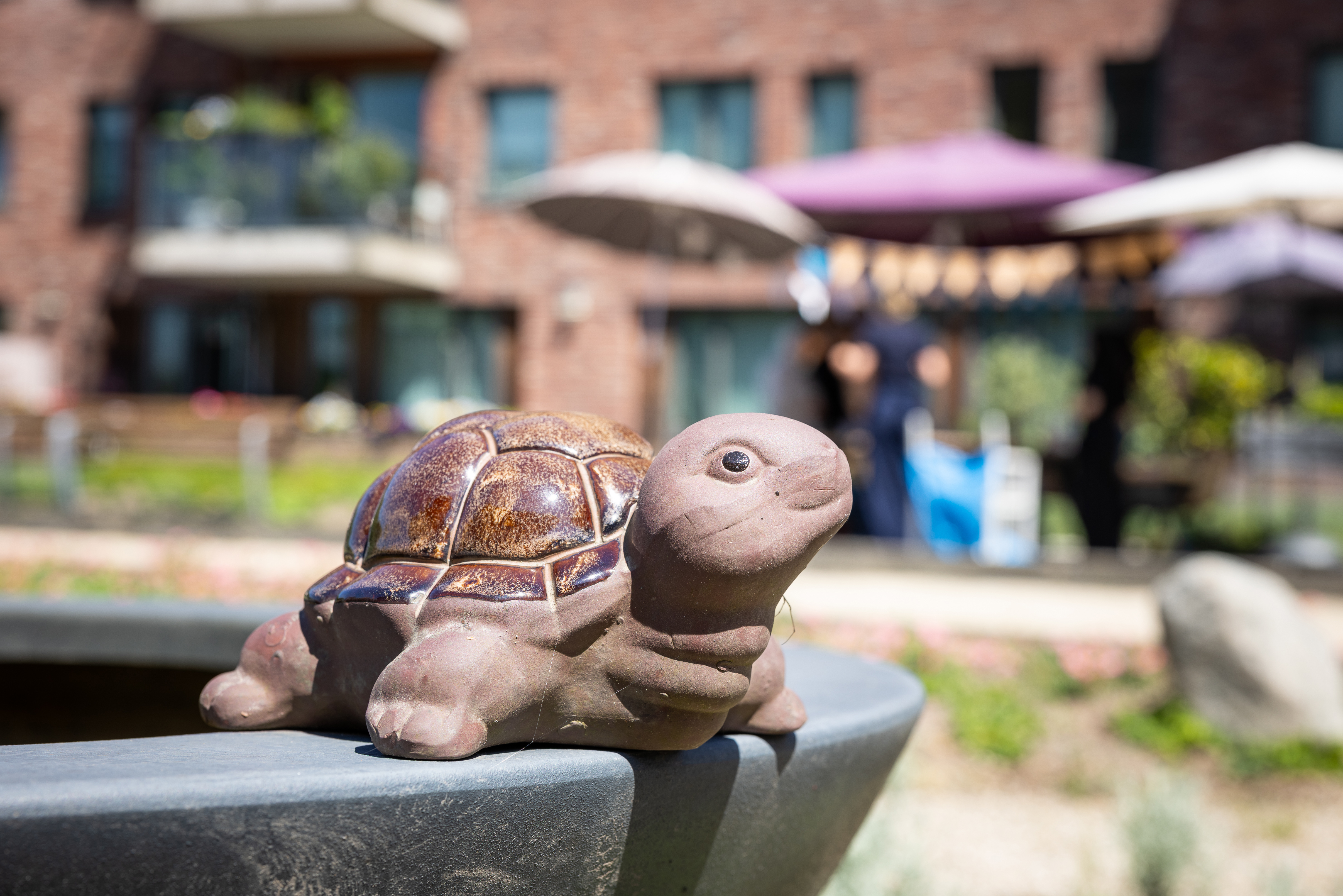 De persoonlijke elementen zoals de schildpadjes zijn teruggebracht