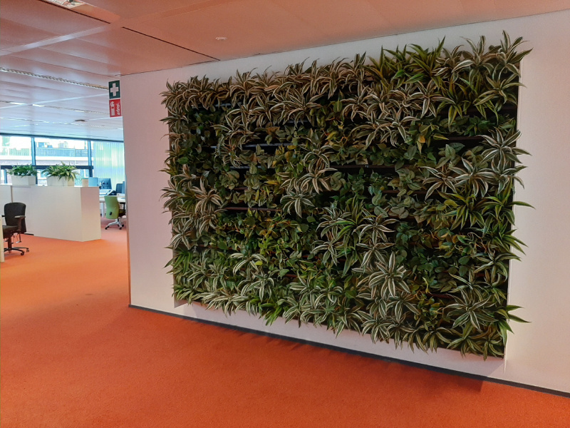 Groen in kantoor