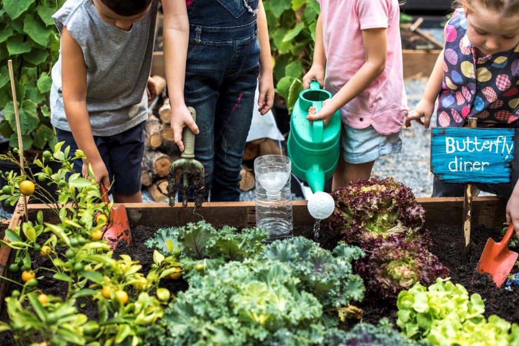 Moestuin