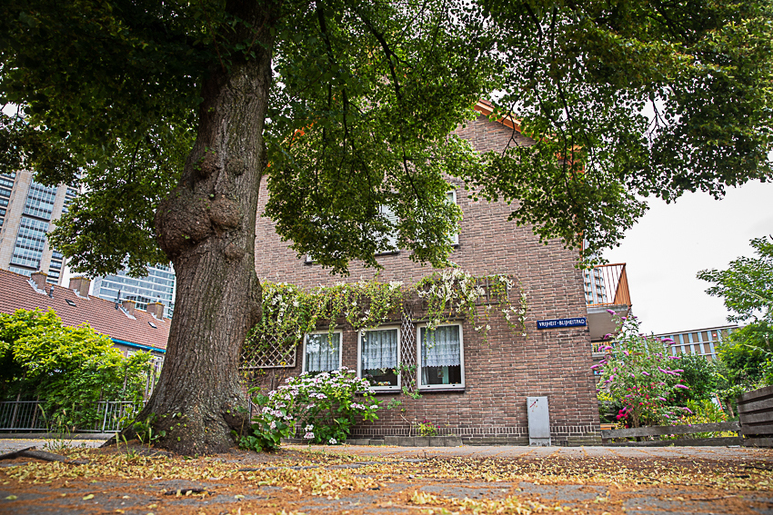 8661 Goulmy Ymere Amsteldorp LOW