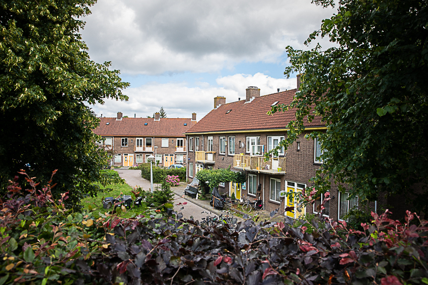 9034 Goulmy Ymere Amsteldorp LOW