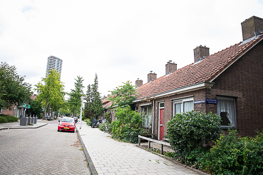 8737 Goulmy Ymere Amsteldorp LOW