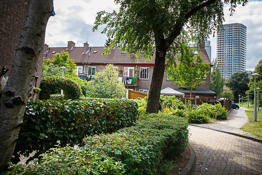 8970 Goulmy Ymere Amsteldorp LOW (1)