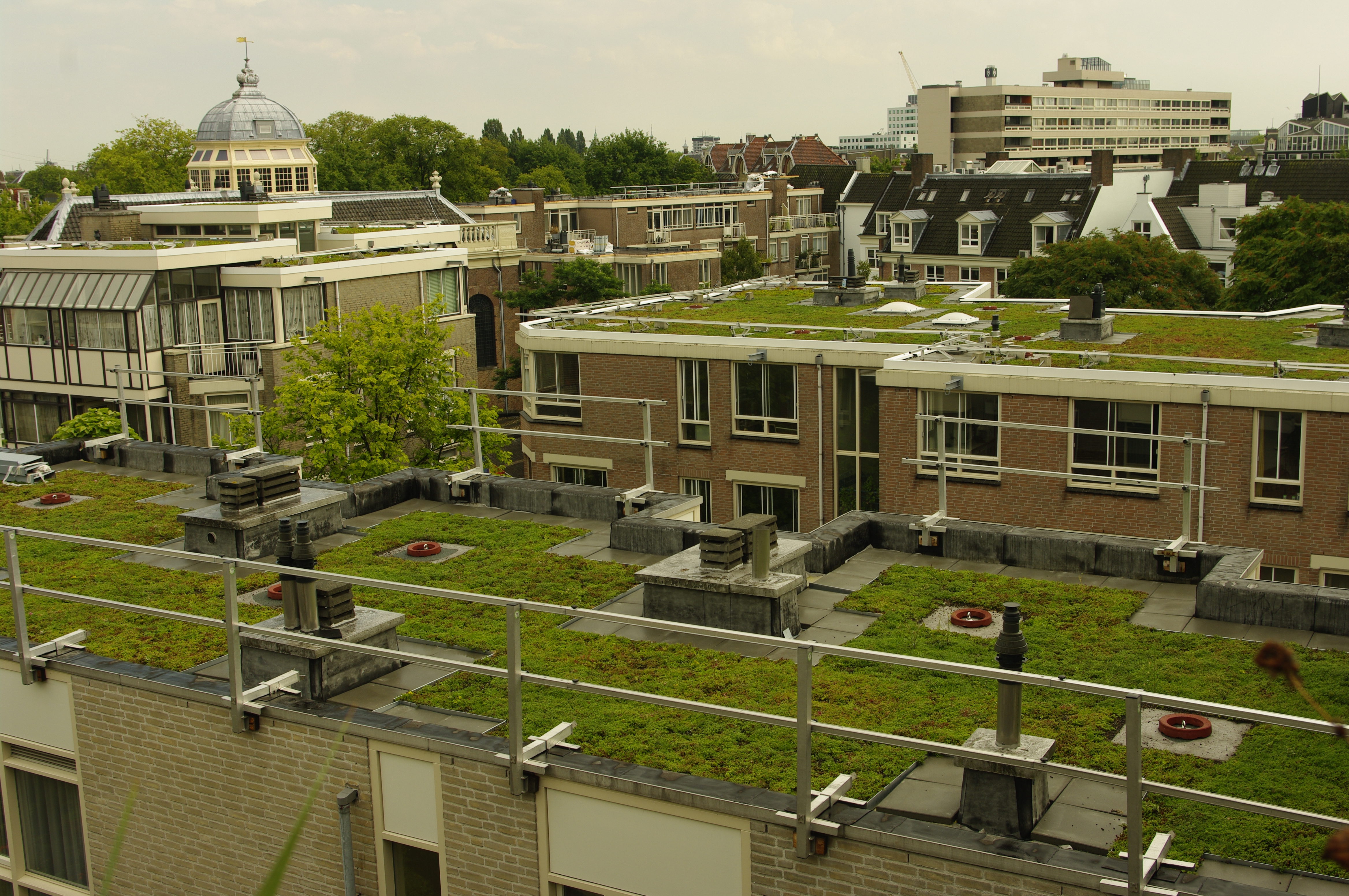 Groen dak op het gebouw de Halve Wereld