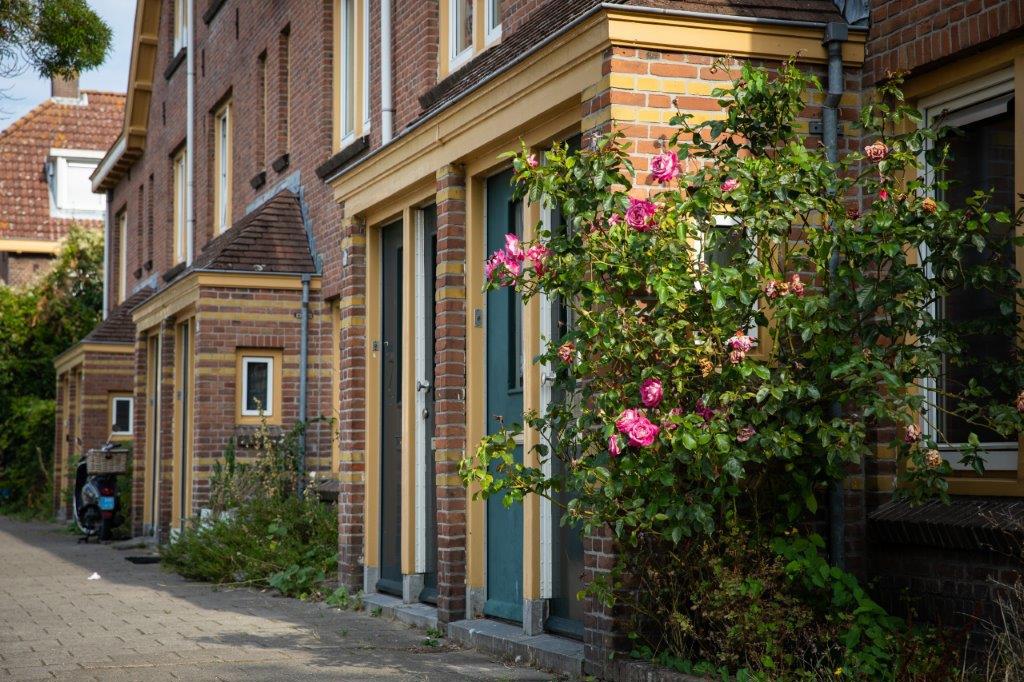 straatbeeld Van der Pekbuurt