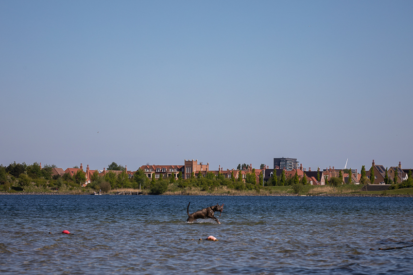 Tudorpark gezien vanaf de Toolenburger plas