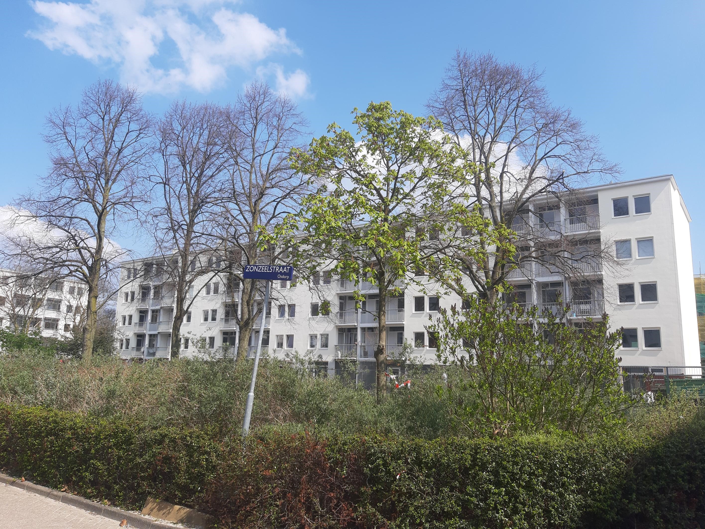 Zonzeelstraat