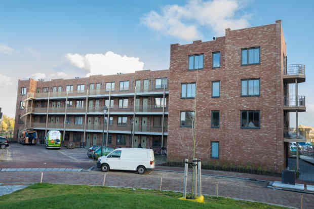 2552 Goulmy Tudorpark