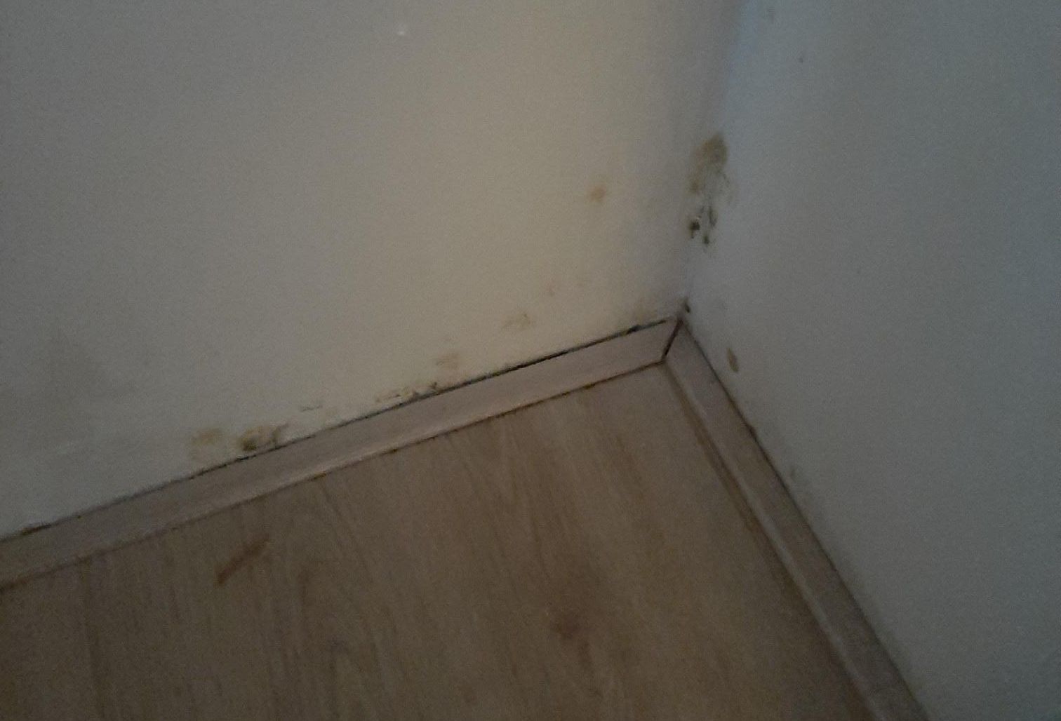 Schimmel vanuit de vloer