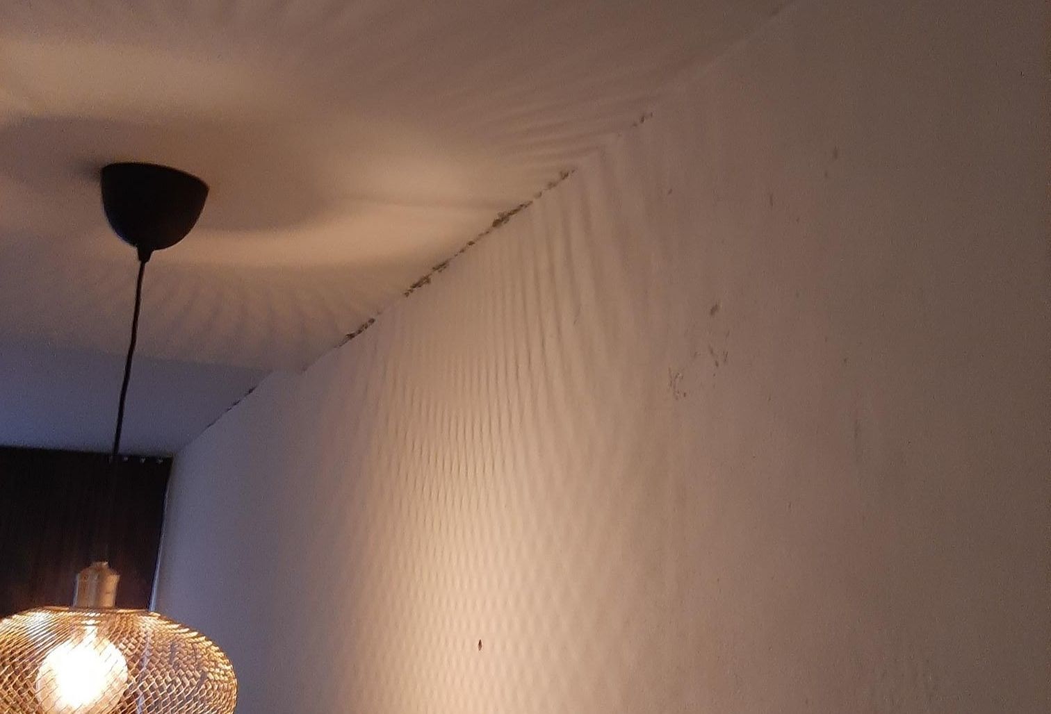 Schimmel plafond