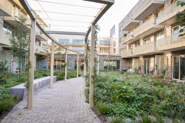 De gemeenschappelijke tuin