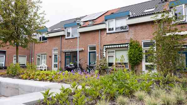Rozenprieel Wijkgerichte Aanpak 1 (1)