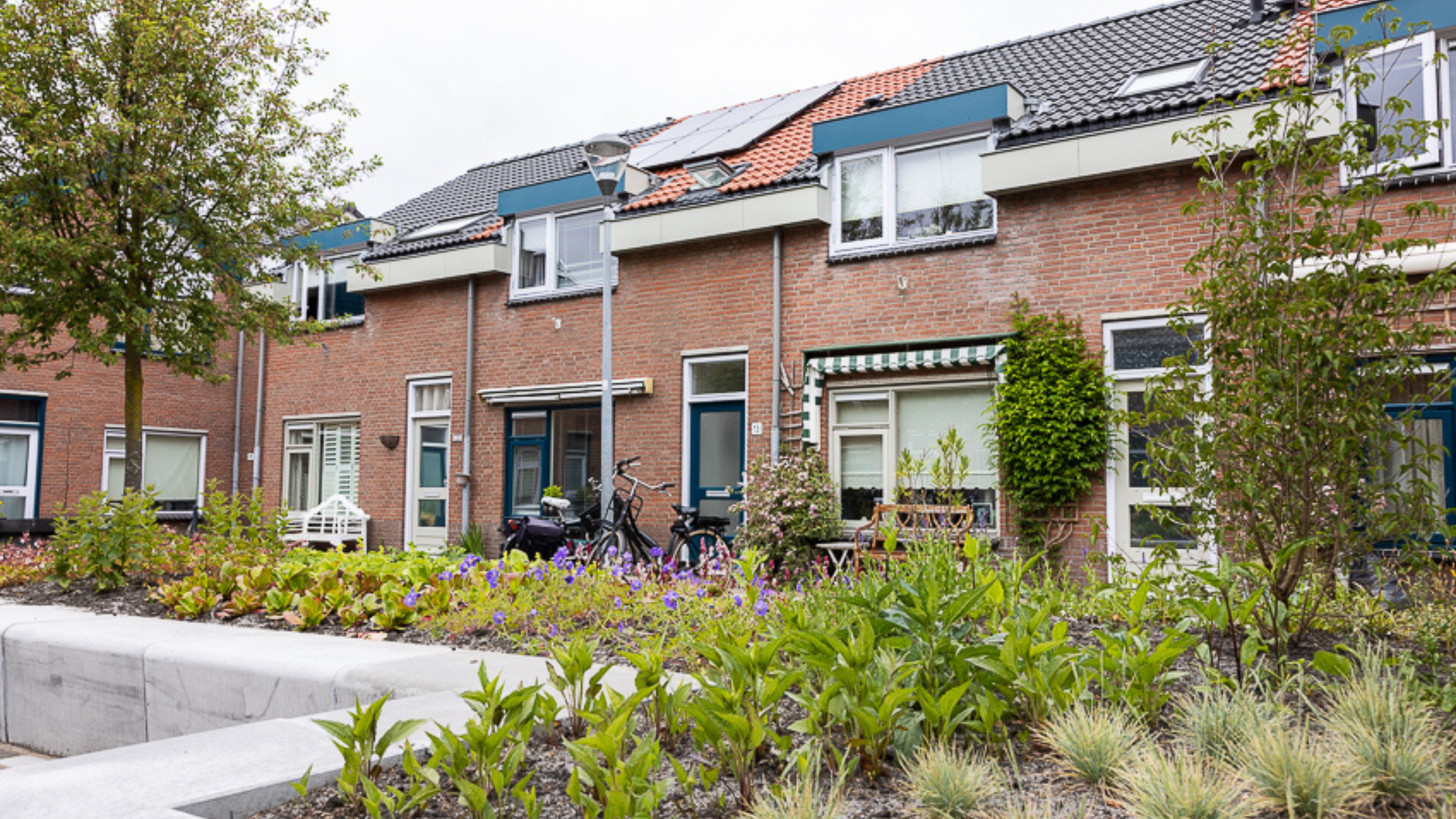 Rozenprieel Wijkgerichte Aanpak 1 (1)