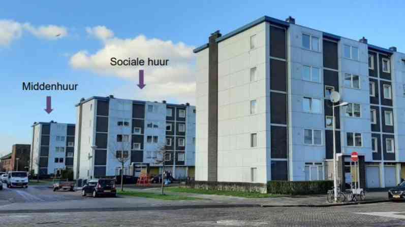 De Punt Website (1)