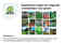 DHP Groen (2)