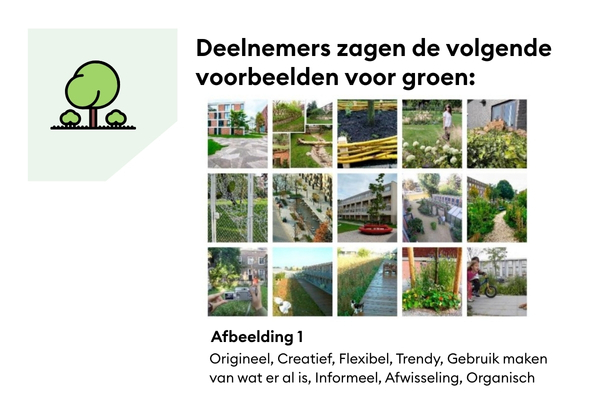 4DHP Groen (5)
