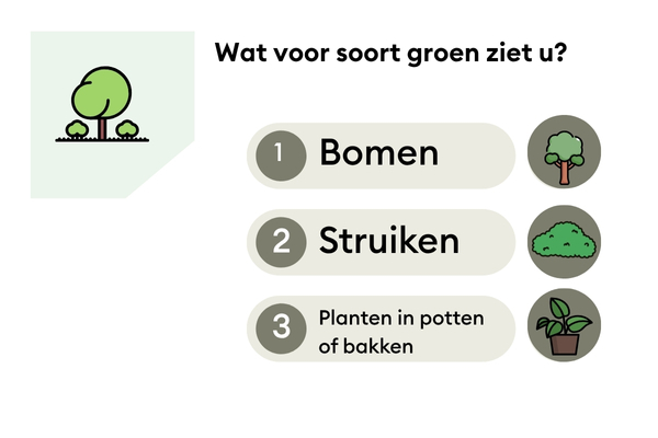 2DHP Groen (3)