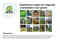 5DHP Groen (1)