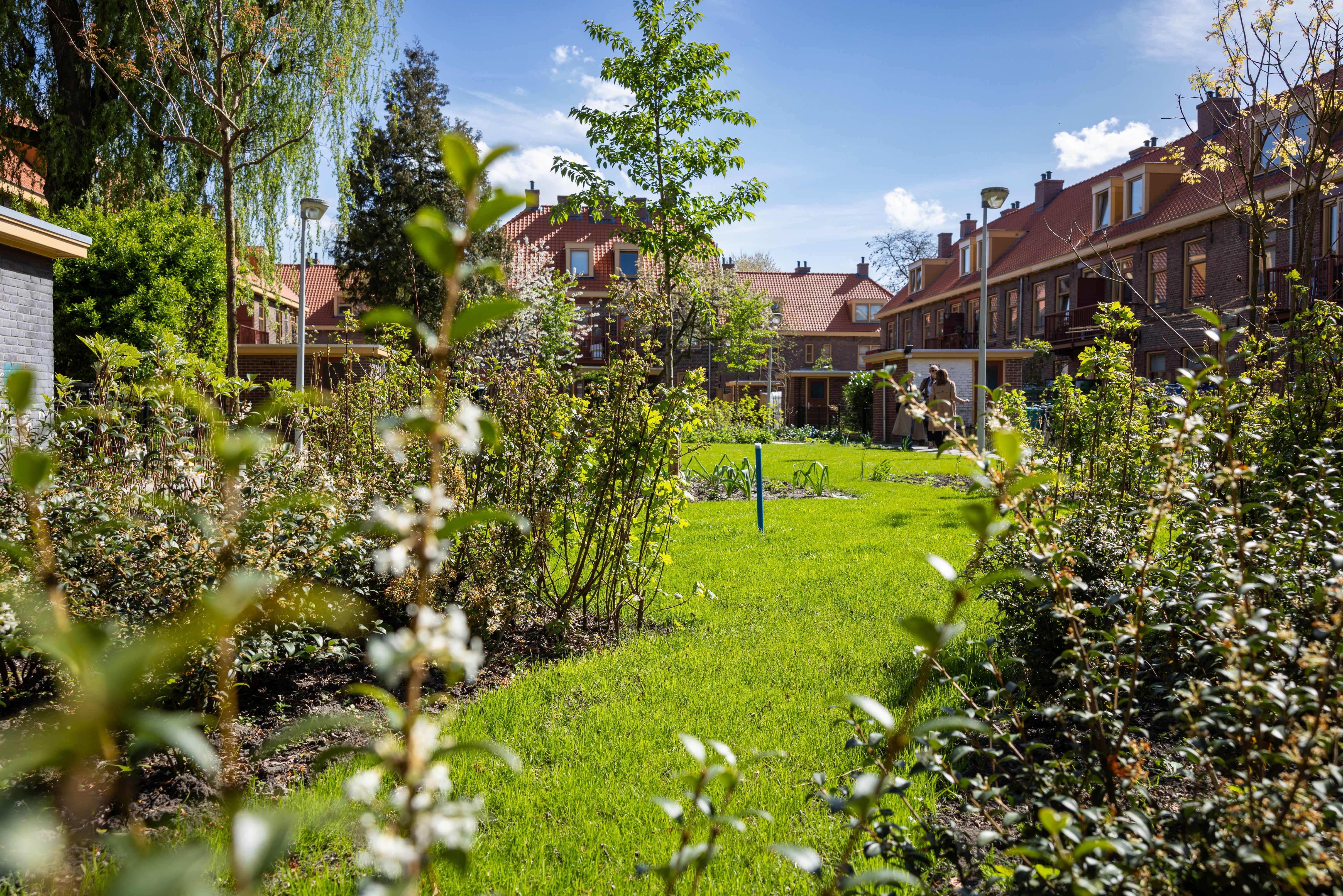 De planten bloeien afgewisseld in kleur en tijd van het jaar