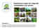 DHP Groen (1)