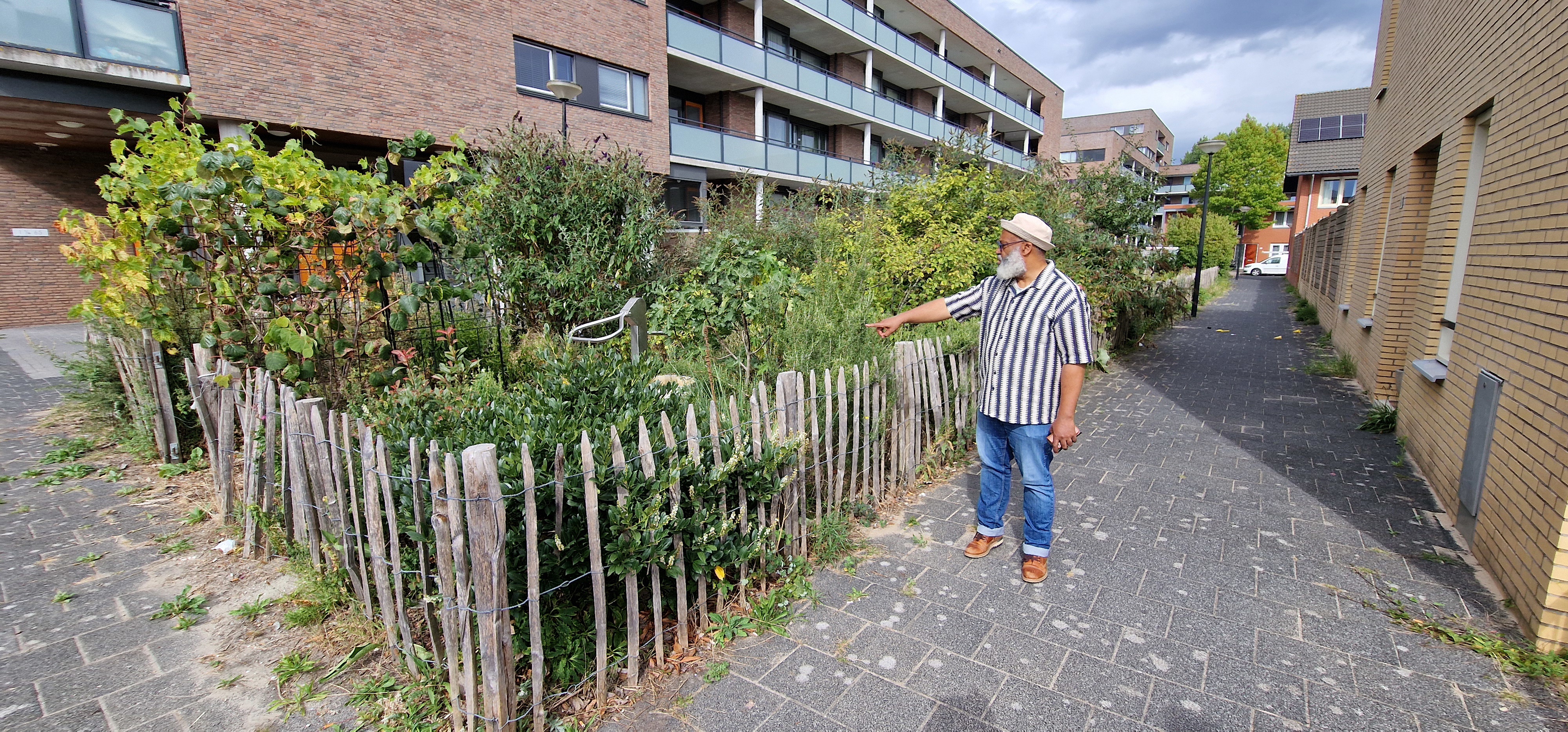 Meneer Milton Bij De Moestuin Van De Naburige Vve